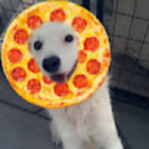 Meet your Posher, Nate